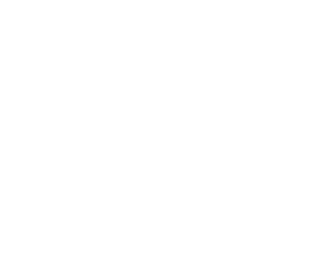 Grupo Logístico Pulido