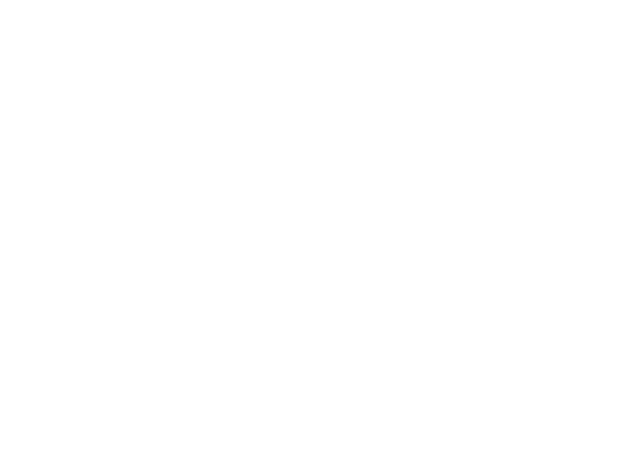 Luisetti